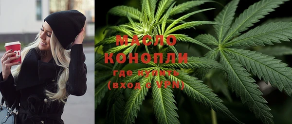 индика Арсеньев